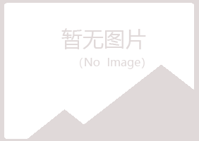 高平夏岚金融有限公司